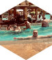 Opponent profile image