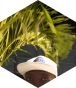 Opponent profile image