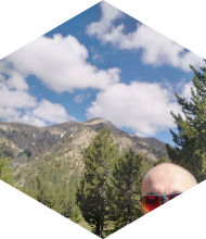 Profileimage