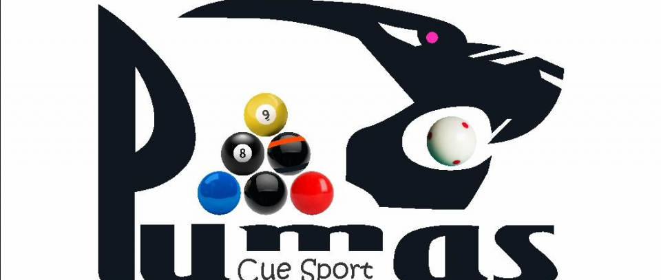 Tournament banner
