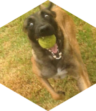 Profileimage