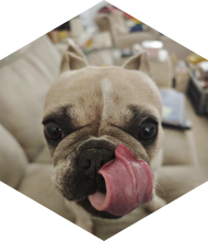 Profileimage
