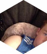 Profileimage