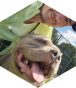 Opponent profile image