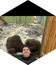 Profileimage