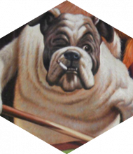 Profileimage