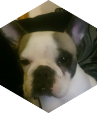 Profileimage