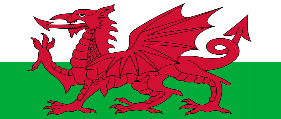 Tournament banner