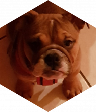 Profileimage