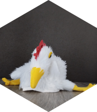 Profileimage