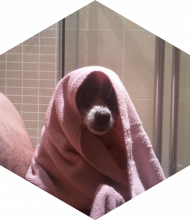 Profileimage