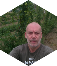 Profileimage