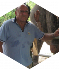 Profileimage