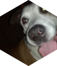 Profileimage
