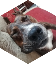Profileimage