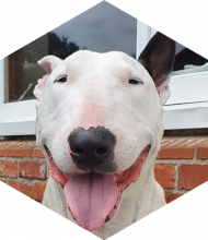 Profileimage