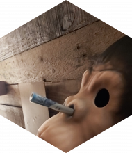 Profileimage