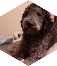 Profileimage