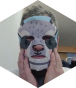 Opponent profile image