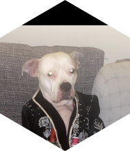 Profileimage