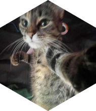 Profileimage