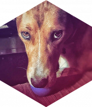 Profileimage