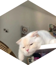 Profileimage