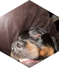 Profileimage