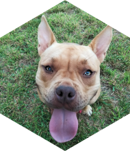 Profileimage