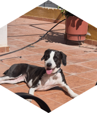 Profileimage