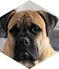 Profileimage