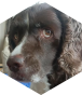 Opponent profile image