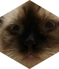 Profileimage