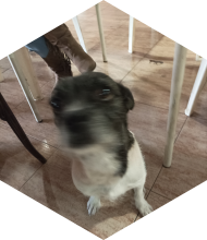 Profileimage