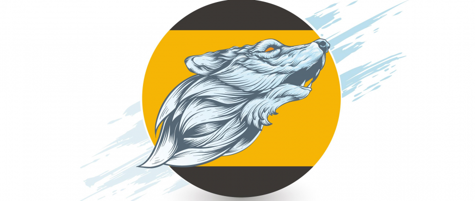 Tournament banner