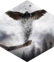 Opponent profile image