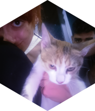 Profileimage