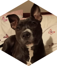 Profileimage