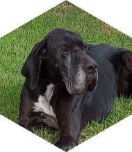 Profileimage