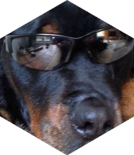 Profileimage