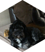 Profileimage
