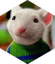 Profileimage