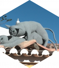 Profileimage